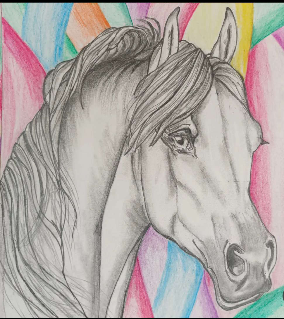 Colorful Horse